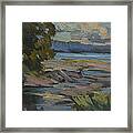 Fern Cove Vashon Island Framed Print