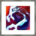 Fetal Angel - Dying To Spread His Wings Framed Print