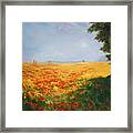 Field Of Poppies Framed Print