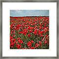 Field Of Poppy Flowers Framed Print