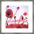 Field Of Red Poppies Framed Print