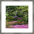 Fields Of Heather Framed Print