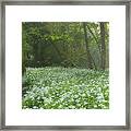 Fields Of Legend Framed Print