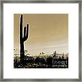 Fields Of Saguaro Framed Print