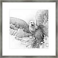 Fighting Eagle Framed Print