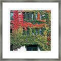 Final Farewell Wmu Dorm In Autumn Ivy Framed Print