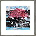 Finding Beauty In Solitude Framed Print