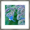 Fine Art Blue Framed Print