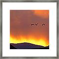 Fire In The Sky Framed Print