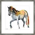 Fire Mane Framed Print