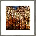 Fire On The Mountain Framed Print