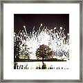 Fireworks At Epcot 2 Framed Print