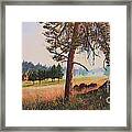 First Nation Meadow Framed Print