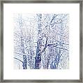 First Snow. Dreamy Wonderland Framed Print