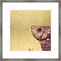 Fish Can Be Sad Too Framed Print