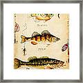 Fish Trio-c Framed Print