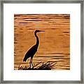 Fishing At Sunset Framed Print