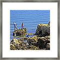 Fishing From The Rocks, Seaview Framed Print