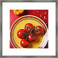 Five Tomatoes On Plate Framed Print