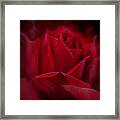 Flames Red Rose Flower Framed Print