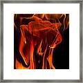 Flaming Rose Framed Print