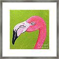 Flamingo Head Framed Print