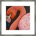 Flamingo Pretty In Pink Framed Print