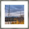 Flathead National Forest Framed Print