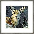 Fleeting Visit- Fawn Framed Print