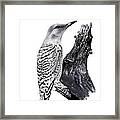 Flicker Framed Print