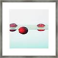 Floating Cranberries Framed Print