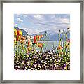 Floral Coast 3 Framed Print