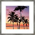 Florida Breeze Framed Print