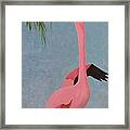 Florida Flamingo Framed Print