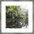 Florida Garden Pond Framed Print
