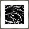 Flow Framed Print