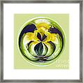 Flower Arms Framed Print