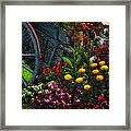 Flower Cart Framed Print