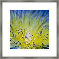 Flower Framed Print