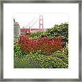 Flower Garden At The Golden Gate Bridge Framed Print