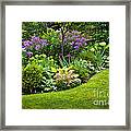 Flower Garden 1 Framed Print