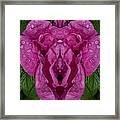 Flower Of Venus 2 Framed Print