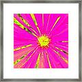 Flower Rays Framed Print