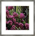 Flowers And Owls Framed Print