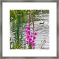 Flowers At The Lake Framed Print