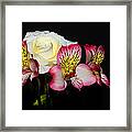 Flowers Framed Print