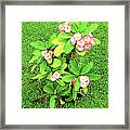 Flowers On Green Framed Print