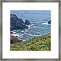 Flowers On Isle Of Guernsey Cliffs Framed Print