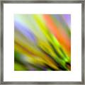 Flowing With Life 16 Framed Print