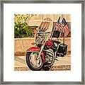 Flying Colors Framed Print